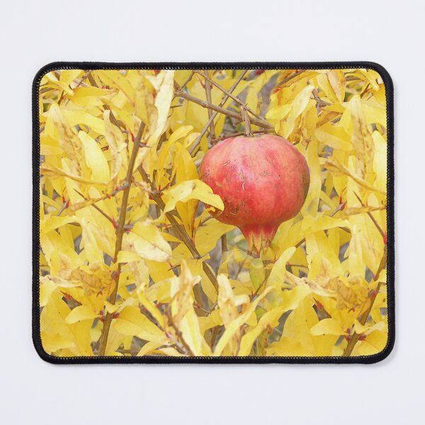 Item preview, Pomegranate. designed and sold by Paul Pasco.