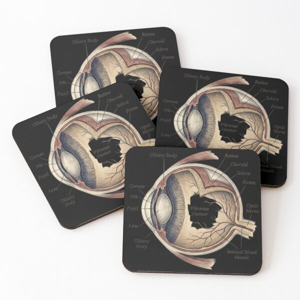 Item preview, The Anatomy of Vision designed and sold by JustClothesShop .