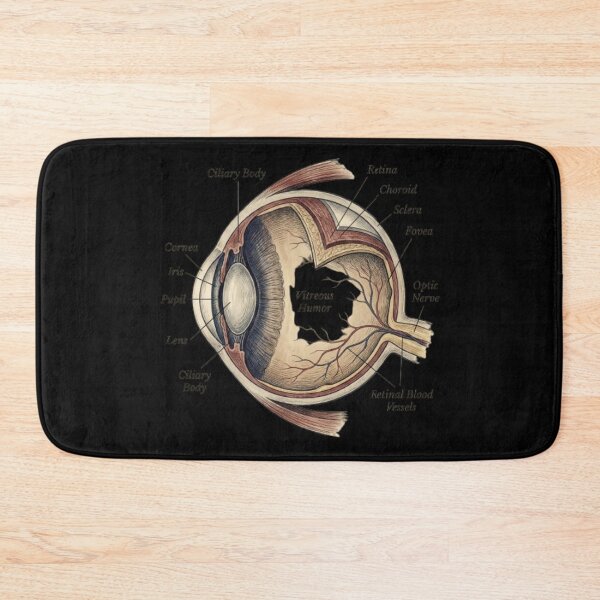 Item preview, The Anatomy of Vision designed and sold by JustClothesShop .