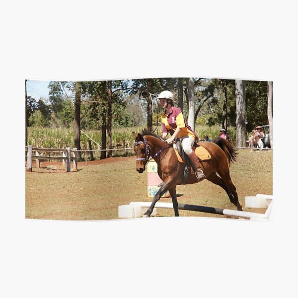 Horse Sports Challenge II Poster