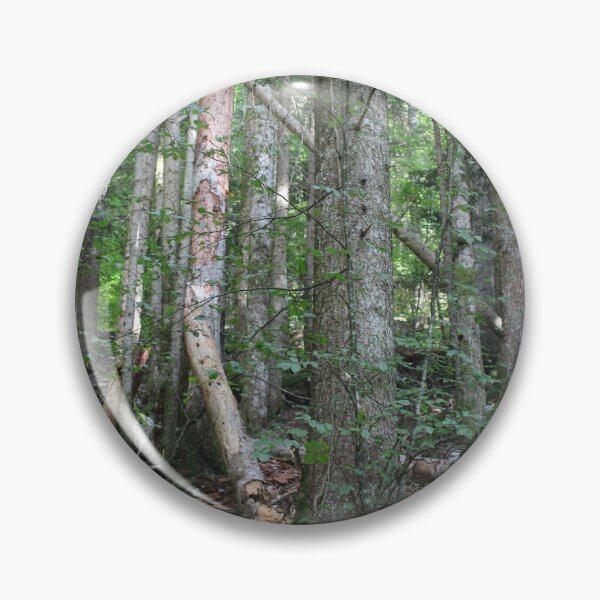 Item preview, undergrowth in the mountains designed and sold by Open Road Gallery .