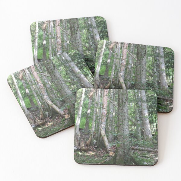 Item preview, undergrowth in the mountains designed and sold by Open Road Gallery .