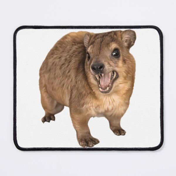 Item preview, Funny Hyrax Screaming Wawa Awawa designed and sold by murray-mckenzie.