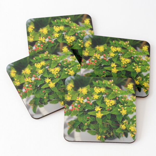 Item preview, Miracle blossom designed and sold by missmoneypenny.