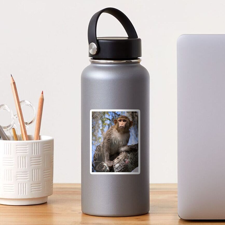 Item preview, Sticker designed and sold by eaglec.