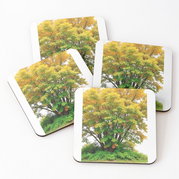 Item preview, Copy of A clump of trees not suitable designed and sold by Diesel Drinking Dinosaurs.