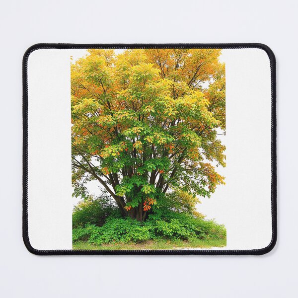 Item preview, Copy of A clump of trees not suitable designed and sold by Diesel Drinking Dinosaurs.