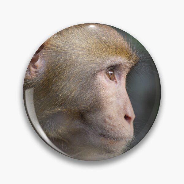 Item preview, Monkey Profile designed and sold by Still Wild.