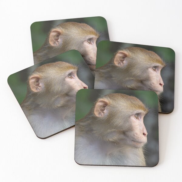 Item preview, Monkey Profile designed and sold by Still Wild.