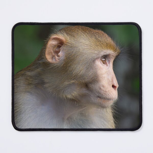 Item preview, Monkey Profile designed and sold by Still Wild.