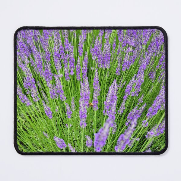 Item preview, Flowering Lavender designed and sold by Gaboro.