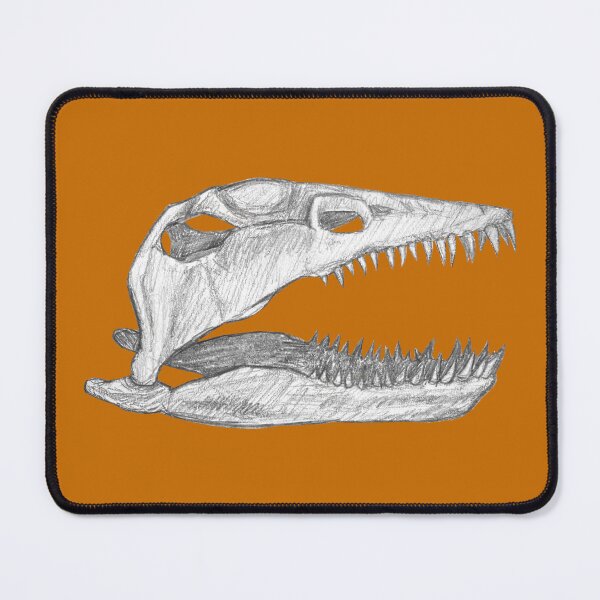 Item preview, Plesiosaur skull designed and sold by DoodleSnake58.
