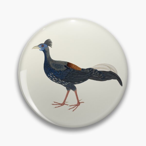 Item preview, Male Crested Fireback Pheasant designed and sold by helengarvey.