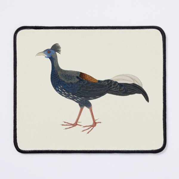Item preview, Male Crested Fireback Pheasant designed and sold by helengarvey.