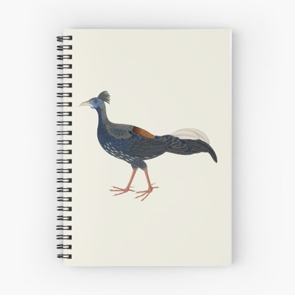 Item preview, Male Crested Fireback Pheasant designed and sold by helengarvey.