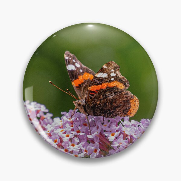 Item preview, Red Admiral Butterfly - (Vanessa atalanta) designed and sold by HazyApplePhoto.