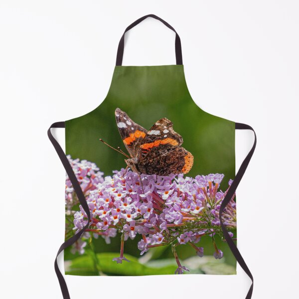 Item preview, Red Admiral Butterfly - (Vanessa atalanta) designed and sold by HazyApplePhoto.