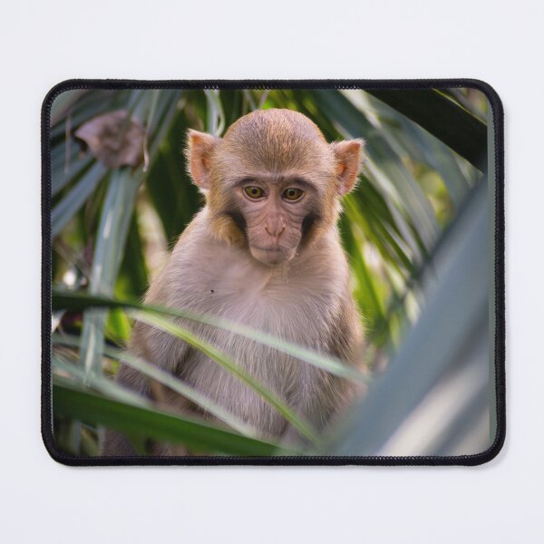Item preview, Baby Monkey designed and sold by Still Wild.