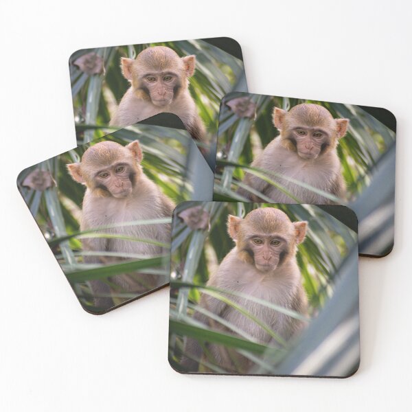 Item preview, Baby Monkey designed and sold by Still Wild.