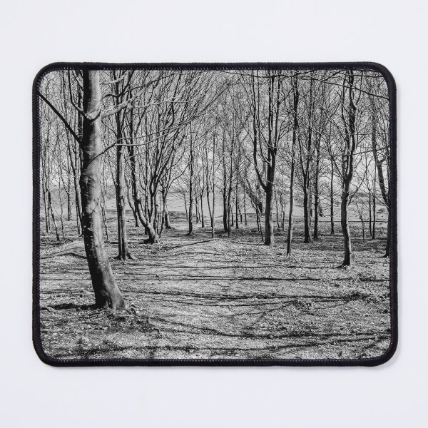 Item preview, Inside Chanctonbury Ring designed and sold by HazyApplePhoto.