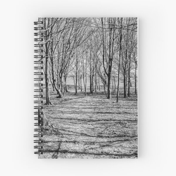 Item preview, Inside Chanctonbury Ring designed and sold by HazyApplePhoto.