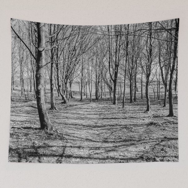 Item preview, Inside Chanctonbury Ring designed and sold by HazyApplePhoto.