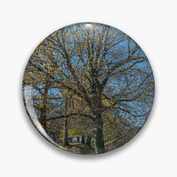 Item preview, Autumn Color on Cissbury Ring designed and sold by HazyApplePhoto.