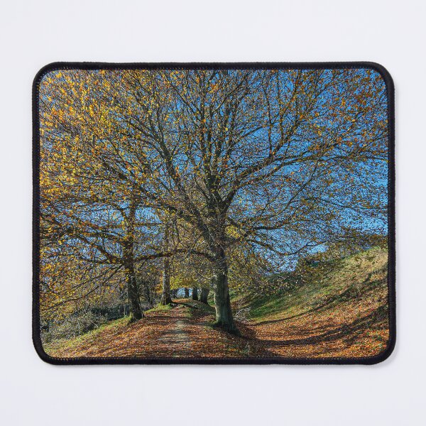 Item preview, Autumn Color on Cissbury Ring designed and sold by HazyApplePhoto.