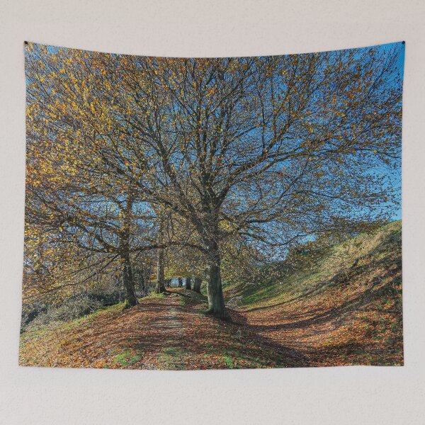 Item preview, Autumn Color on Cissbury Ring designed and sold by HazyApplePhoto.