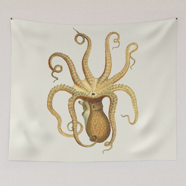 Item preview, Octopus designed and sold by helengarvey.