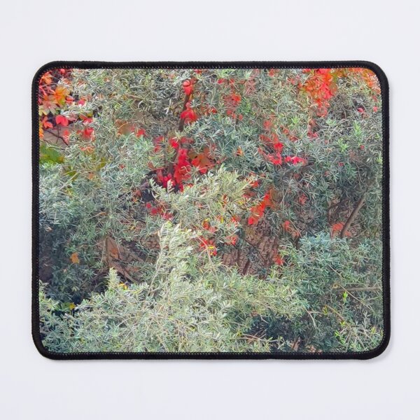 Item preview, trees designed and sold by Tereza Pilar Art.