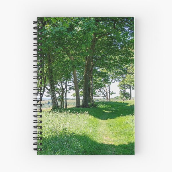 Item preview, Looking out from within - Chanctonbury Ring view #2 designed and sold by HazyApplePhoto.