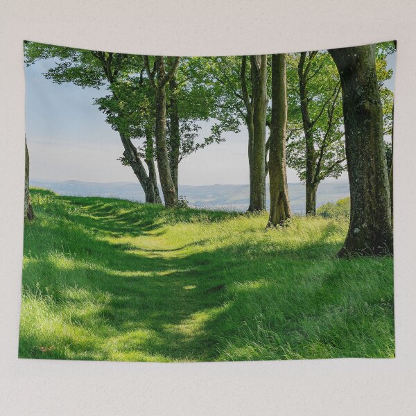 Item preview, Looking out from within - Chanctonbury Ring view #1 designed and sold by HazyApplePhoto.