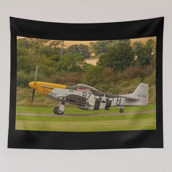 Item preview, Waiting for Take Off designed and sold by HazyApplePhoto.