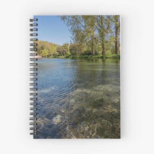 Item preview, Swanbourne Lake in early Spring designed and sold by HazyApplePhoto.