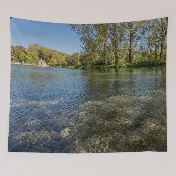 Item preview, Swanbourne Lake in early Spring designed and sold by HazyApplePhoto.