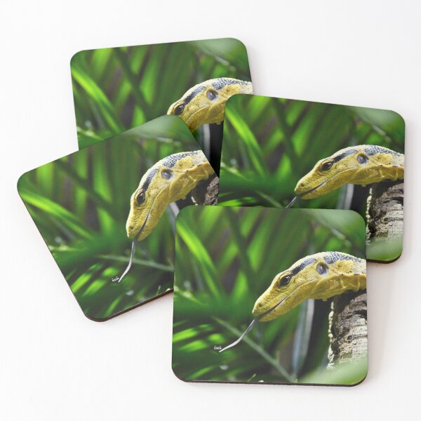 Item preview, Yellow monitor lizard in the rainforest – vigilant and attentive / Swiss Artwork Photography designed and sold by Raphael Wolf.