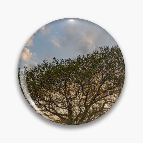 Item preview, Oak Tree Sunset designed and sold by HazyApplePhoto.