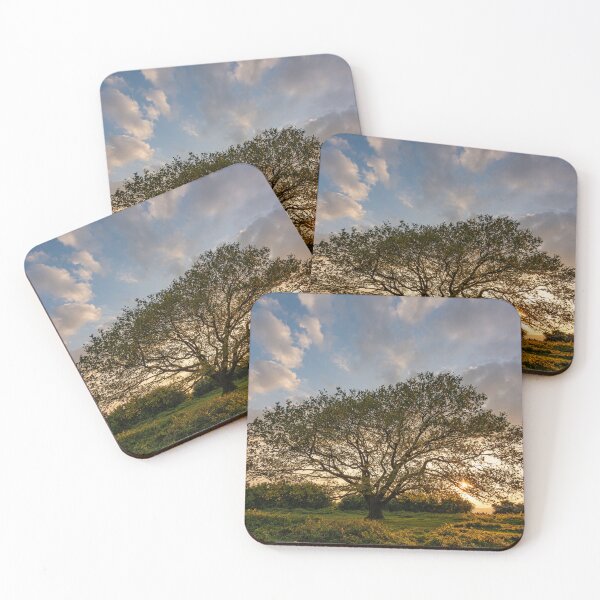 Item preview, Oak Tree Sunset designed and sold by HazyApplePhoto.