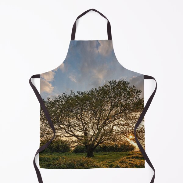 Item preview, Oak Tree Sunset designed and sold by HazyApplePhoto.