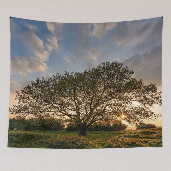 Item preview, Oak Tree Sunset designed and sold by HazyApplePhoto.