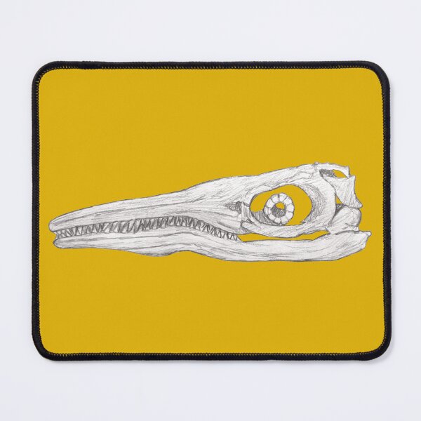 Item preview, Ichthyosaur skull designed and sold by DoodleSnake58.