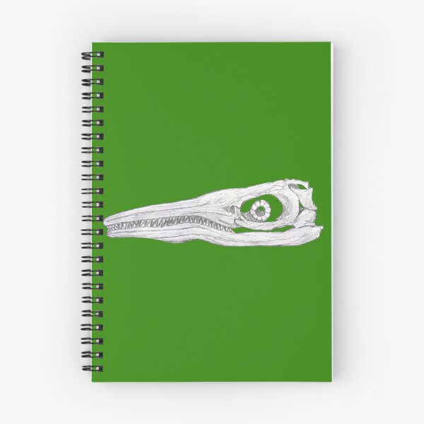 Item preview, Ichthyosaur skull designed and sold by DoodleSnake58.