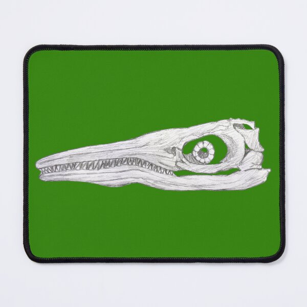 Item preview, Ichthyosaur skull designed and sold by DoodleSnake58.