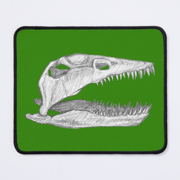 Item preview, Plesiosaur skull designed and sold by DoodleSnake58.