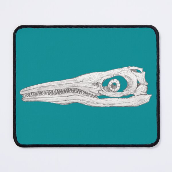 Item preview, Ichthyosaur skull designed and sold by DoodleSnake58.