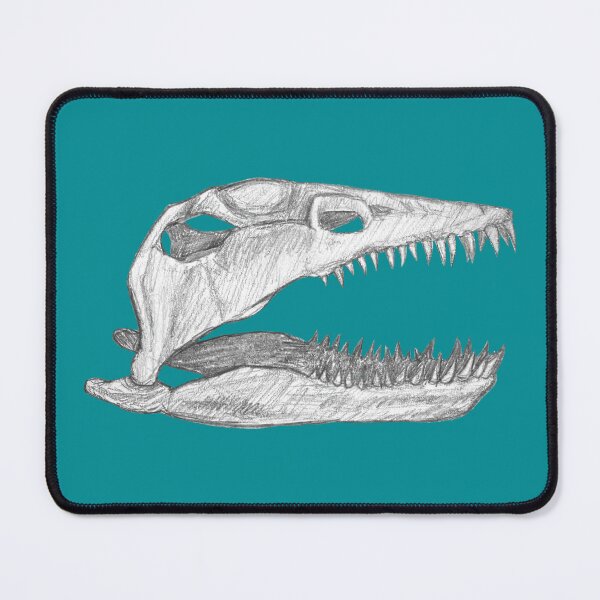 Item preview, Plesiosaur skull designed and sold by DoodleSnake58.