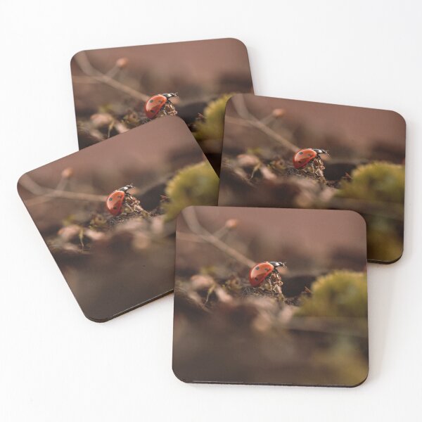 Item preview, A warm, atmospheric photo of a ladybug in an autumn forest, macro shot. designed and sold by RinaZik.