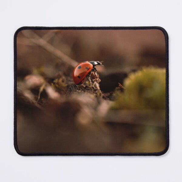 Item preview, A warm, atmospheric photo of a ladybug in an autumn forest, macro shot. designed and sold by RinaZik.
