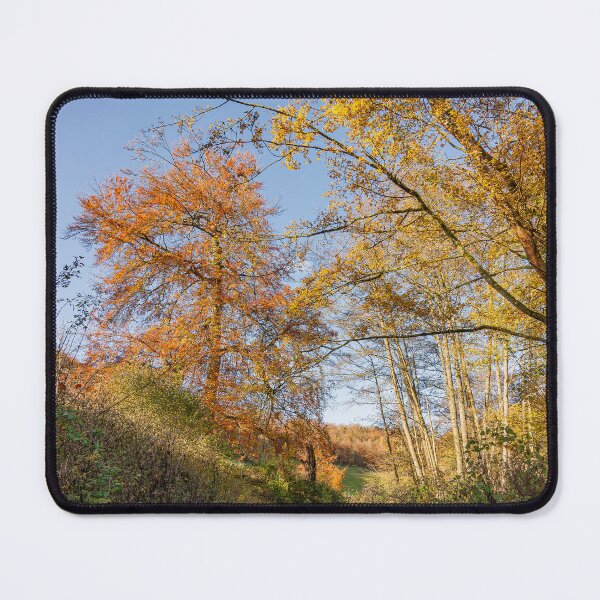 Item preview, Autumn Walking designed and sold by HazyApplePhoto.